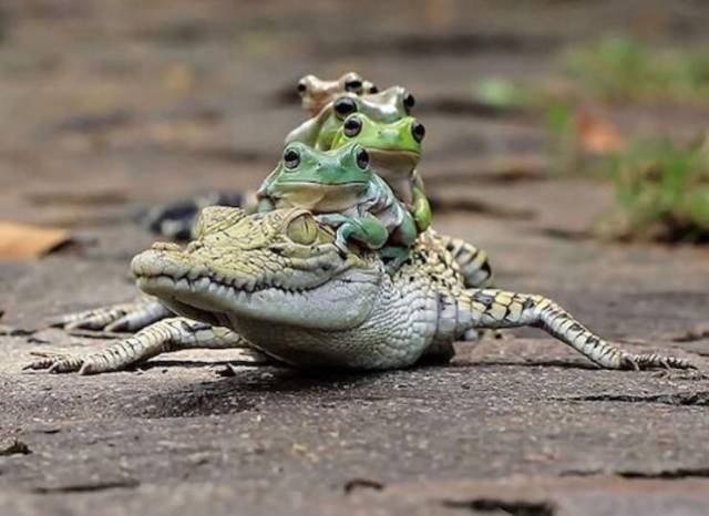 daily picdump 94 pics 10.html - 94 HD Photos | Premium Gallery 2018