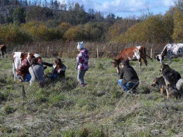 daily picdump 94 pics 10.html - 94 HD Photos | Premium Gallery 2018