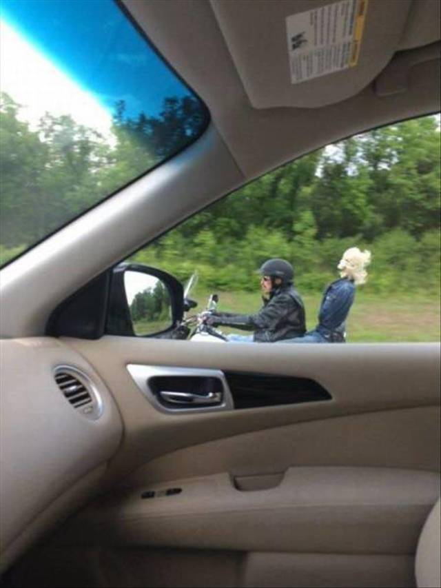 daily picdump 94 pics 10.html - 94 HD Photos | Premium Gallery 2018