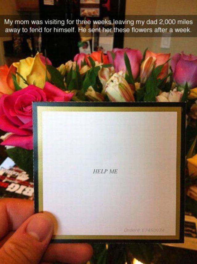 daily picdump 94 pics 10.html - 94 HD Photos | Premium Gallery 2018