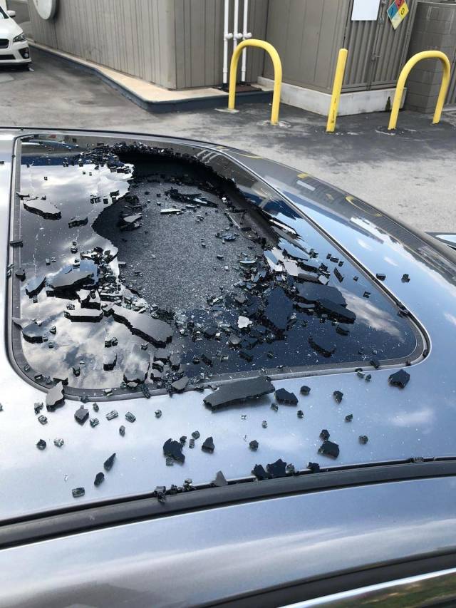 daily picdump 94 pics 10.html - 94 HD Photos | Premium Gallery 2018