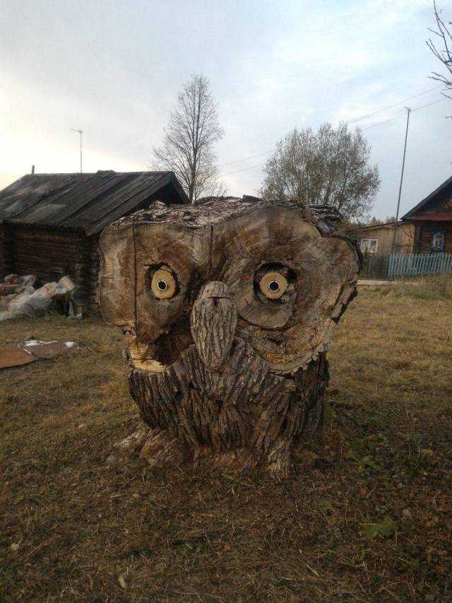 daily picdump 94 pics 10.html - 94 HD Photos | Premium Gallery 2018