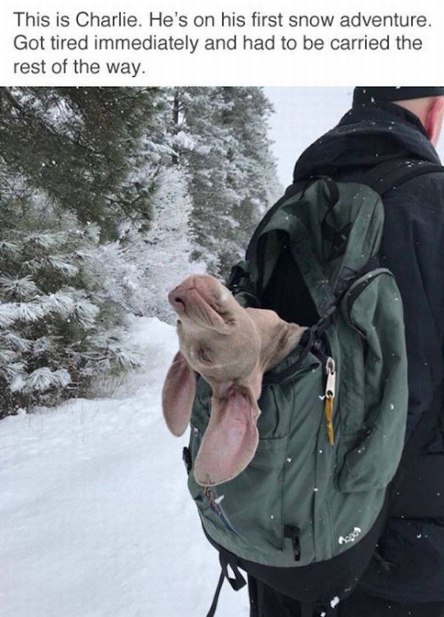 daily picdump 94 pics 10.html - 94 HD Photos | Premium Gallery 2018