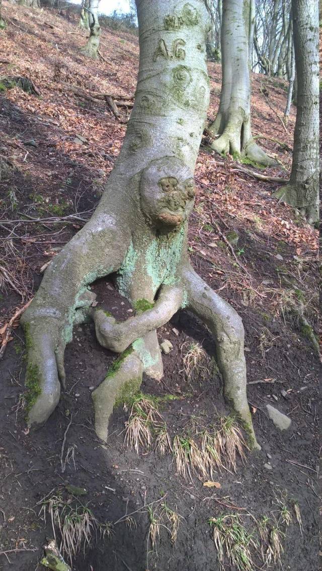 daily picdump 94 pics 10.html - 94 HD Photos | Premium Gallery 2018