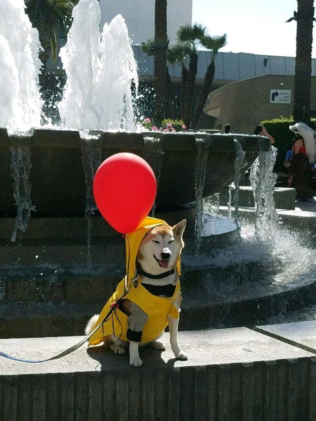 daily picdump 94 pics 10.html - 94 HD Photos | Premium Gallery 2018