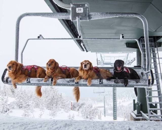 morning picdump 50 pics 12.html - 50 HD Photos | Premium Gallery 2018