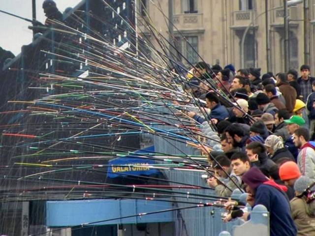 daily picdump 98 pics 24.html - 98 HD Photos | Premium Gallery 2018