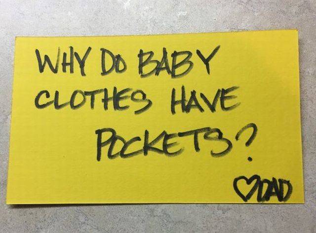 daily picdump 98 pics 24.html - 98 HD Photos | Premium Gallery 2018