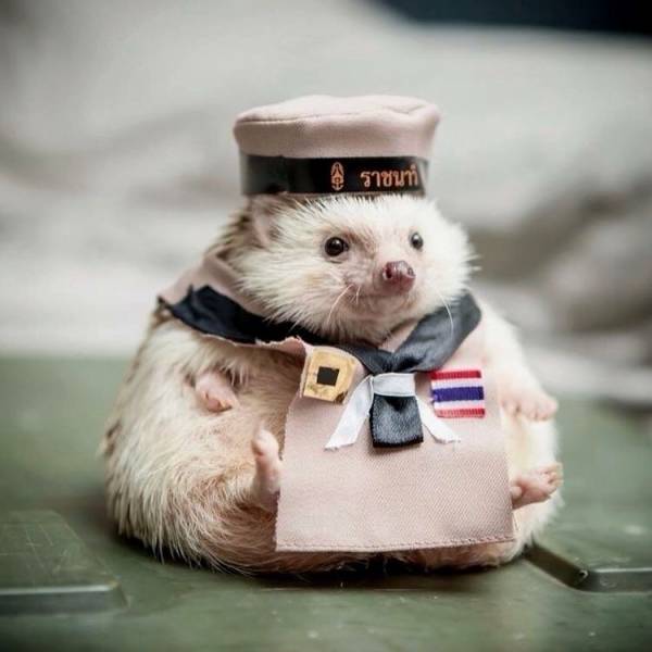 daily picdump 98 pics 24.html - 98 HD Photos | Premium Gallery 2018