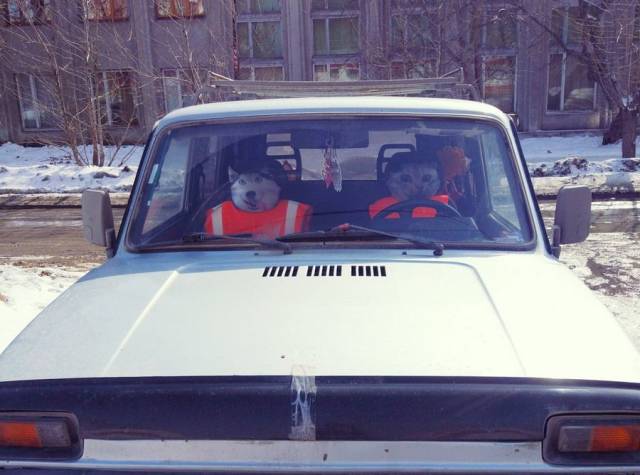 daily picdump 98 pics 24.html - 98 HD Photos | Premium Gallery 2018