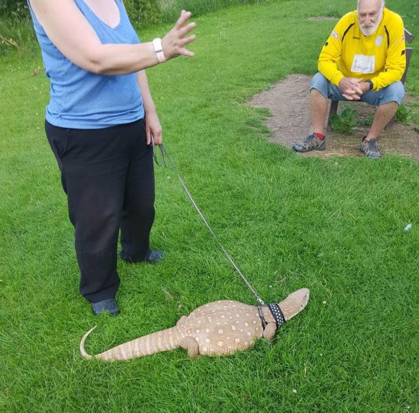 daily picdump 98 pics 24.html - 98 HD Photos | Premium Gallery 2018