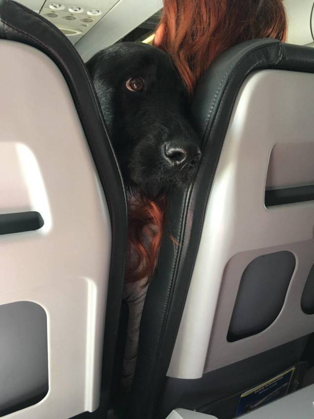 daily picdump 98 pics 24.html - 98 HD Photos | Premium Gallery 2018