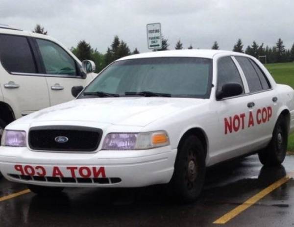 morning picdump 52 pics 17.html - 52 HD Photos | Premium Gallery 2018