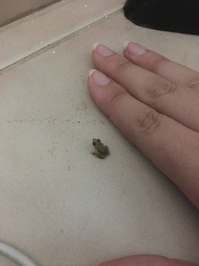 morning picdump 52 pics 17.html - 52 HD Photos | Premium Gallery 2018