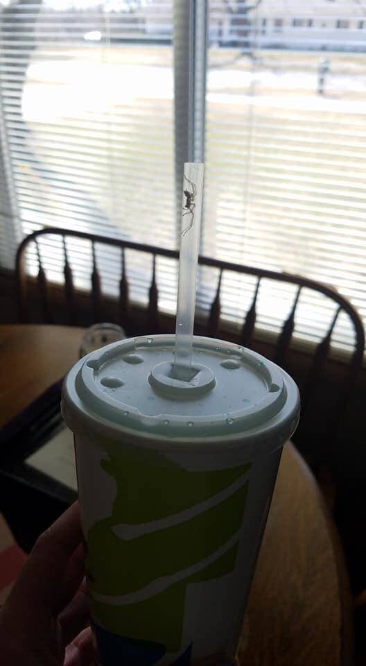 morning picdump 52 pics 17.html - 52 HD Photos | Premium Gallery 2018