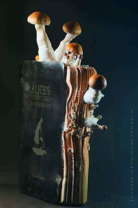 morning picdump 52 pics 17.html - 52 HD Photos | Premium Gallery 2018