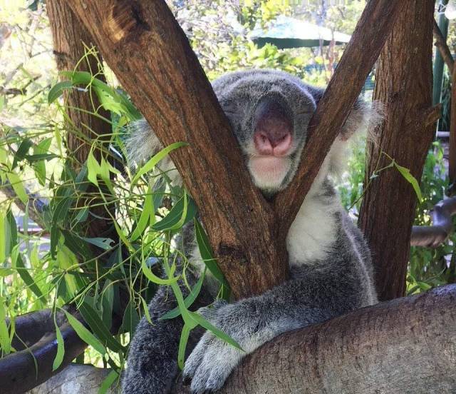 daily picdump 104 pics 6.html - 104 HD Photos | Premium Gallery 2018