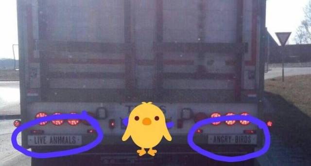 daily picdump 104 pics 6.html - 104 HD Photos | Premium Gallery 2018