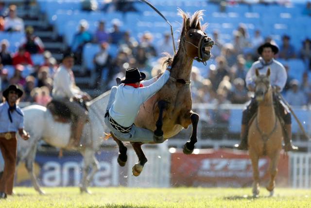 daily picdump 104 pics 6.html - 104 HD Photos | Premium Gallery 2018