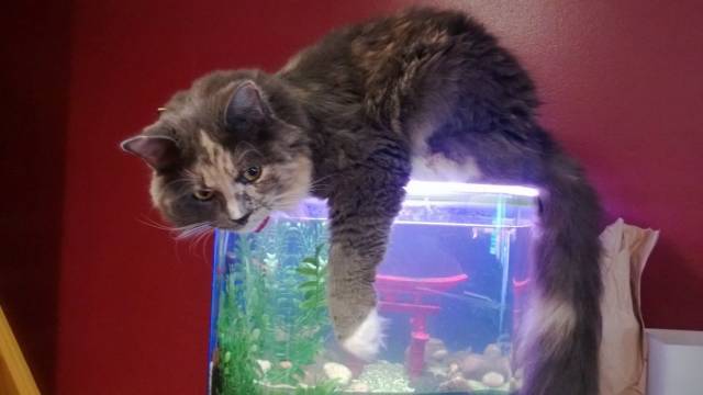 daily picdump 104 pics 6.html - 104 HD Photos | Premium Gallery 2018