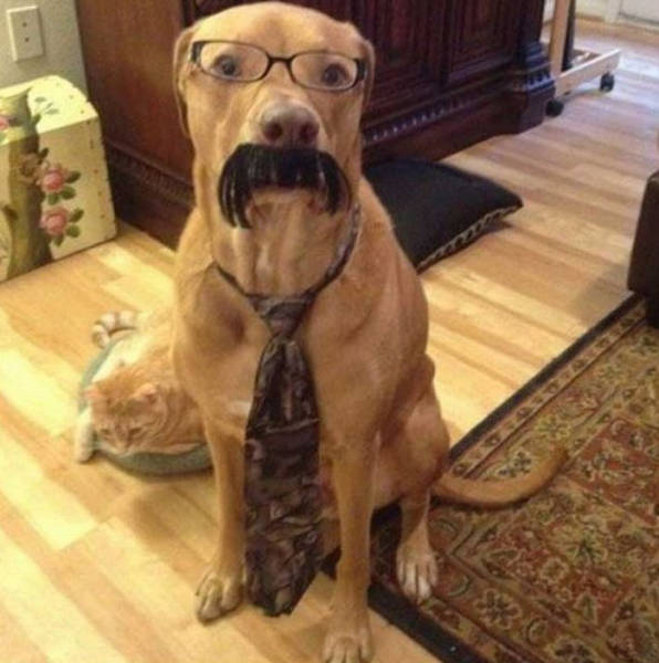 morning picdump 50 pics 2.html - 50 HD Photos | Premium Gallery 2018