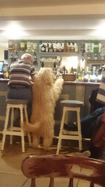 morning picdump 50 pics 2.html - 50 HD Photos | Premium Gallery 2018