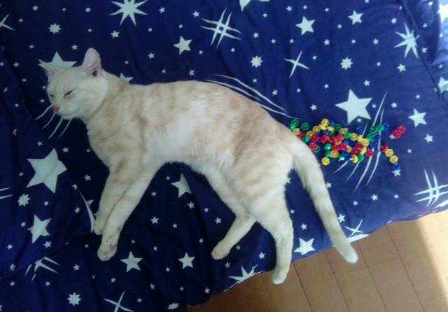 daily picdump 96 pics 40.html - 96 HD Photos | Premium Gallery 2018