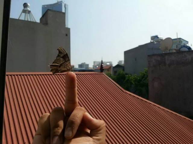 daily picdump 96 pics 40.html - 96 HD Photos | Premium Gallery 2018