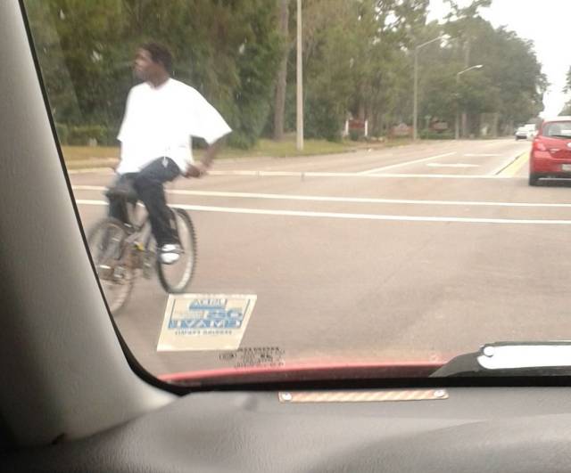 daily picdump 96 pics 40.html - 96 HD Photos | Premium Gallery 2018