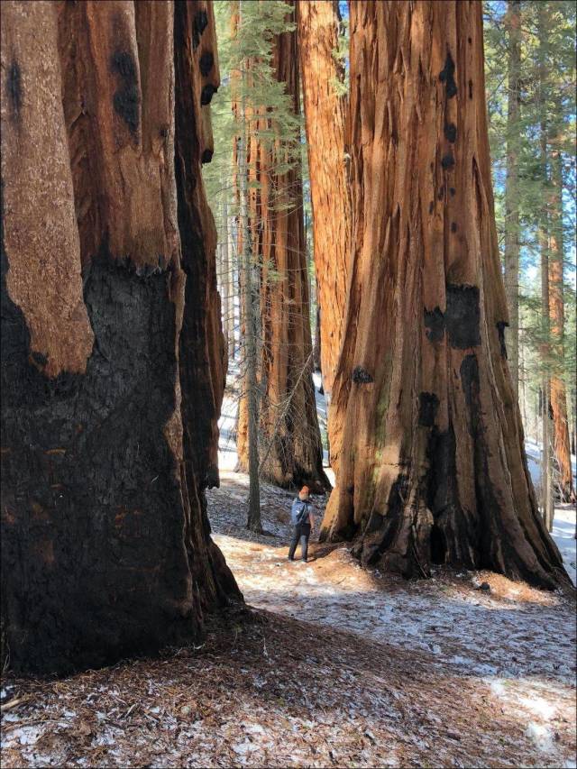 daily picdump 96 pics 40.html - 96 HD Photos | Premium Gallery 2018