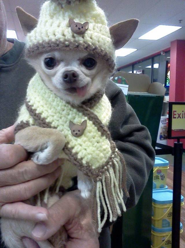 daily picdump 96 pics 40.html - 96 HD Photos | Premium Gallery 2018