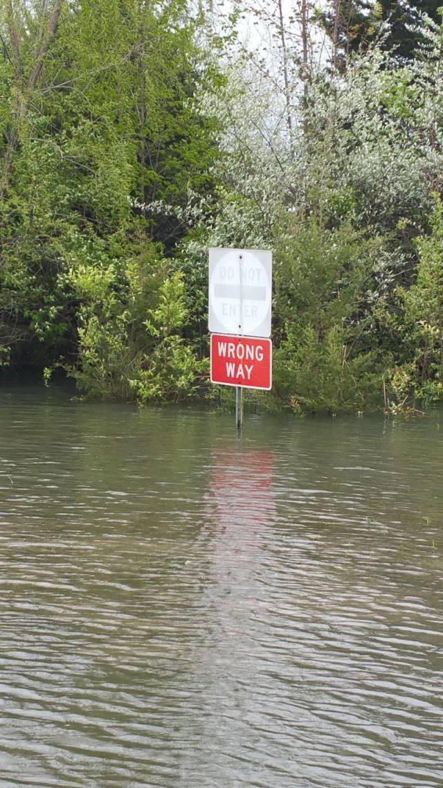 daily picdump 96 pics 40.html - 96 HD Photos | Premium Gallery 2018