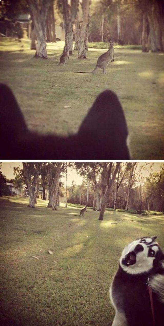 daily picdump 96 pics 40.html - 96 HD Photos | Premium Gallery 2018