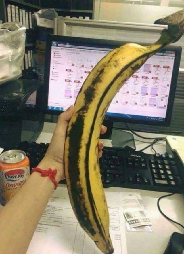 morning picdump 54 pics 17.html - 54 HD Photos | Premium Gallery 2018