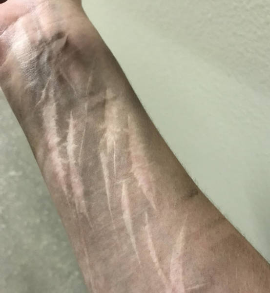 Some People Look So Differently – It’s Just Stunning