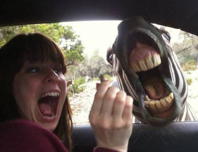 Daily Picdump [WEEKEND EDITION]