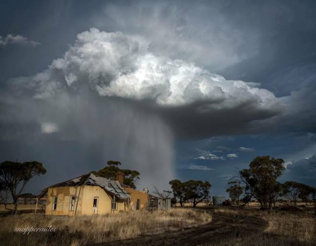 daily picdump weekend edition 68 pics 32.html - 68 HD Photos | Premium Gallery 2018