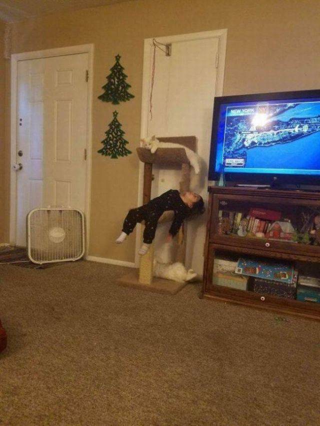 Daily Picdump [WEEKEND EDITION]