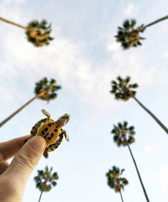 Daily Picdump [WEEKEND EDITION]