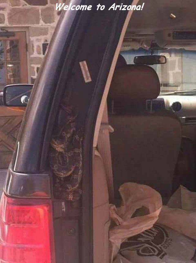 daily picdump weekend edition 68 pics 32.html - 68 HD Photos | Premium Gallery 2018