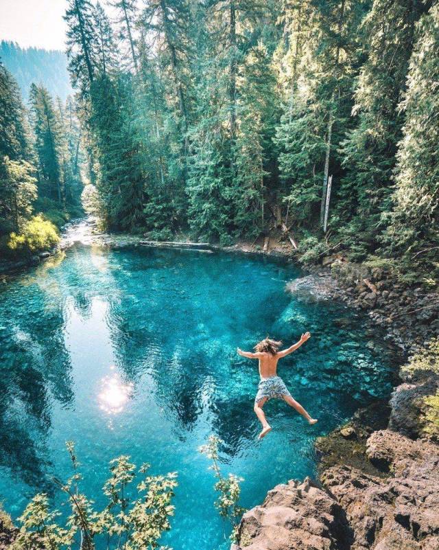 daily picdump weekend edition 68 pics 32.html - 68 HD Photos | Premium Gallery 2018