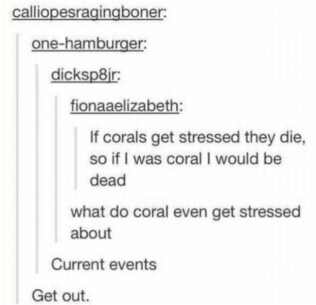 This Post Is Really Punny!