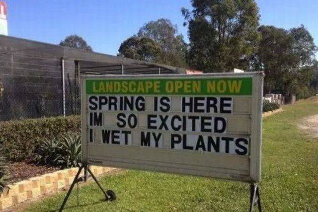 This Post Is Really Punny!