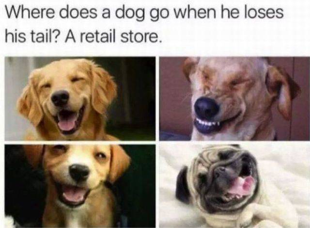 This Post Is Really Punny!