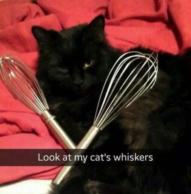 This Post Is Really Punny!