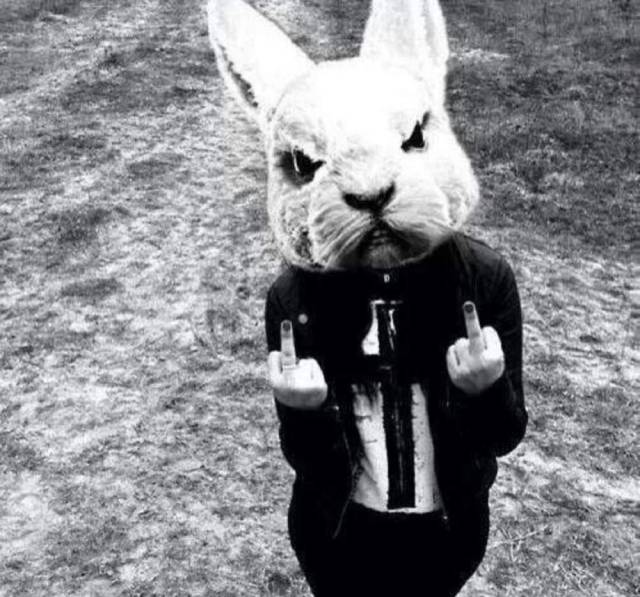 daily picdump 101 pics 2.html - 101 HD Photos | Premium Gallery 2018