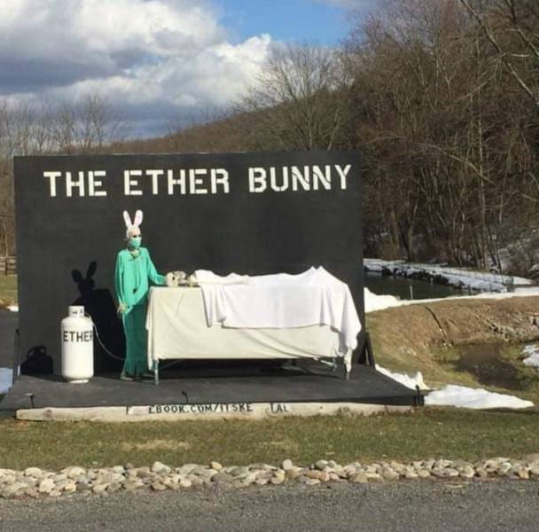 daily picdump 101 pics 2.html - 101 HD Photos | Premium Gallery 2018