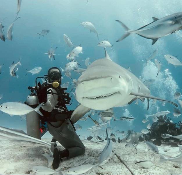 daily picdump 101 pics 2.html - 101 HD Photos | Premium Gallery 2018