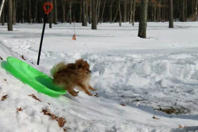 daily picdump 101 pics 2.html - 101 HD Photos | Premium Gallery 2018