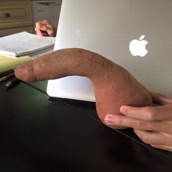 daily picdump 101 pics 2.html - 101 HD Photos | Premium Gallery 2018